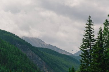 Bulutlu gökyüzünün altındaki dağ vadisi, ufuktaki kaya tepesi, dağlarda yürüyüş, dinlenme ve doğada meditasyon.