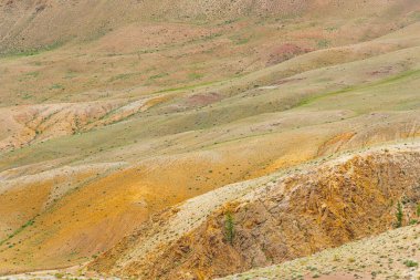 Kanyonun kırmızı kumlu yamaçları. Kuraklık ve küresel ısınmadan sonra toprağı aşındırmak. Taş çölde susuzluk.