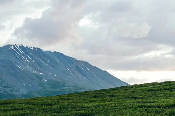Sanfte Hügel Grüne Wiese Unter Dem Himmel Weideland Für Rinder — Stockfoto