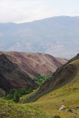 Kırmızı topraklı dağ kanyonu, geçitli nehir vadisi ve yeşil ağaçlar, toprak erozyonu, kuraklıktan kaynaklanan vadi oluşumu.