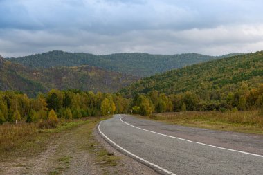 Sonbahar ormanlarında yol sarı yapraklarla, işaretli asfalt asfalt, yolculukta nostalji havası.