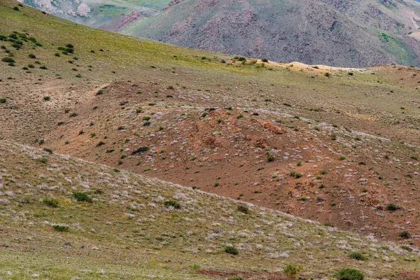 Rote Sandige Hänge Des Canyons Korrosion Des Bodens Nach Dürre — Stockfoto