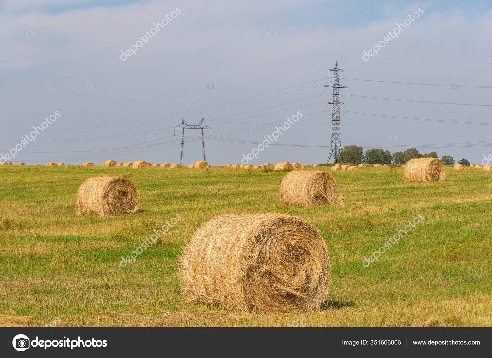 Dry Hay Rolls Cattle Feed Grass Harvesting Cows Harvesting Wheat — Stock Photo © Avdeev_80