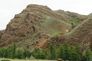 Kırmızı topraklı dağ kanyonu, geçitli nehir vadisi ve yeşil ağaçlar, toprak erozyonu, kuraklıktan kaynaklanan vadi oluşumu.