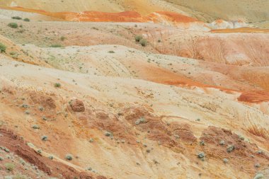 Kanyonun kırmızı kumlu yamaçları. Kuraklık ve küresel ısınmadan sonra toprağı aşındırmak. Taş çölde susuzluk.