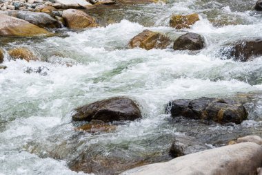 Nehrin kayalık yatağı, kaynayan akıntılı hızlı dağ deresi. Su vadisinde doğaya yolculuk