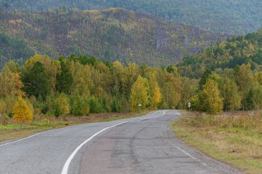 Sonbahar ormanlarında yol sarı yapraklarla, işaretli asfalt asfalt, yolculukta nostalji havası.