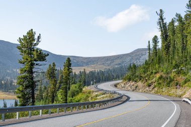 Kuru asfalt yol, ormandaki çizgiler, dağlara yolculuk.