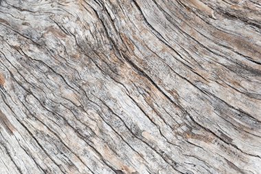 Eski kuru ağaç gövdesinin dokusu