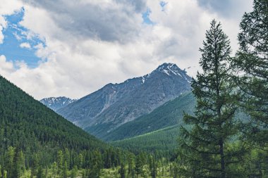 Ufukta çam ormanları ve kayalık tepeleri olan vadi, dağ turizmi, açık hava rahatlığı