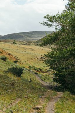 Ağaçların ve kayaların arasında yalnız taş patika, dağlarda yürüyüş, vadide seyahat
