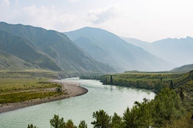 Dağ vadisinde nehir, taşların ve kayaların arasında su akıntısı, kıyıda ağaçlar, salda su turisti gezisi.