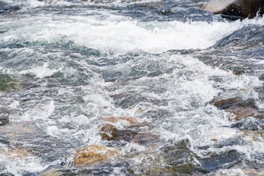 Nehrin kayalık yatağı, kaynayan akıntılı hızlı dağ deresi. Su vadisinde doğaya yolculuk