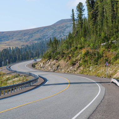 Kuru asfalt yol, ormandaki çizgiler, dağlara yolculuk.