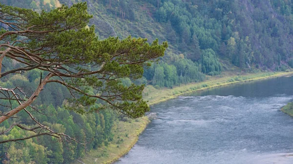 Large Rivière Parmi Les Collines Verdoyantes Avec Des Arbres Virage — Photo