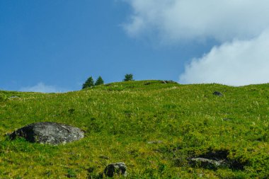 Yeşil yamaçlar, güneşli yaz gününde ağaçlı ve çimenli dağlar.