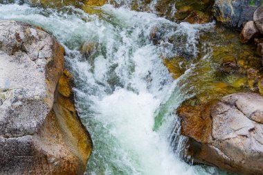 Taş yatakta dere, kayaların arasında hızlı dağ nehri, akıntıların içinde su kaynıyor.