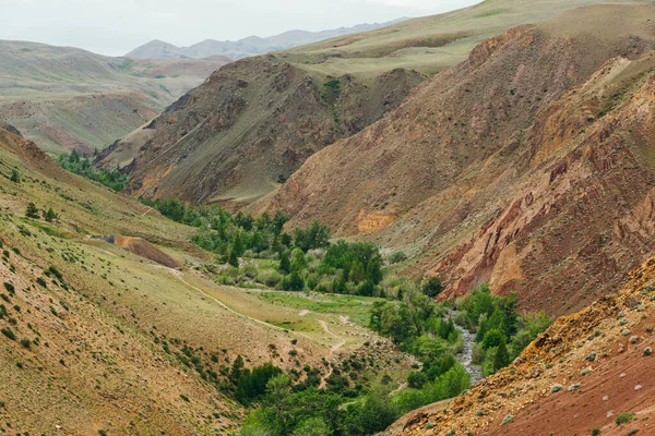 Bergschlucht Mit Rotem Boden Flusstal Mit Schluchten Und Grünen Bäumen — Stockfoto