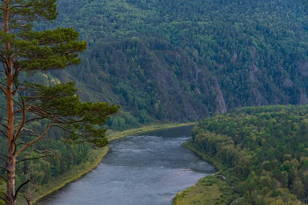 Breiter Fluss Zwischen Grünen Hügeln Mit Bäumen Sanfte Biegung Des — Stockfoto