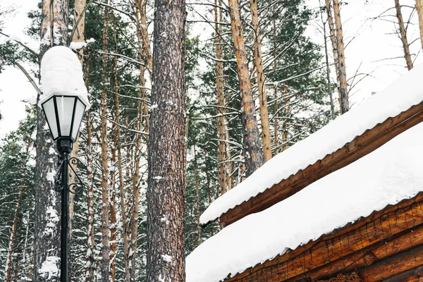 Nieve Techo Casa Madera Bosque Invierno Nevadas Frío Chasquido Casa — Foto de Stock