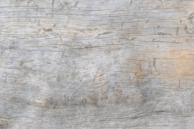 Eski kuru ağaç gövdesinin dokusu