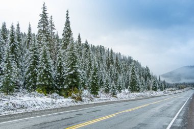 Kış asfalt yolunda buz, dağlara yolculuk, ormanda yol, tehlikeli bir soğuk çarpması.