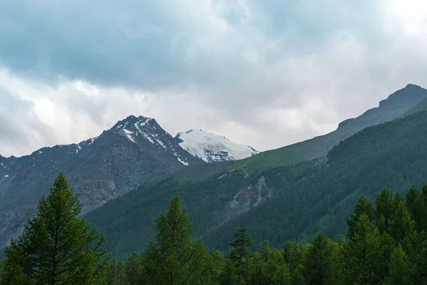 Ufukta çam ormanları ve kayalık tepeleri olan vadi, dağ turizmi, açık hava rahatlığı