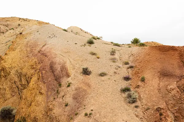 夏天的沙漠景观 红山与火星景观相似 峡谷的土壤侵蚀 缺水和雨水使山谷变成了草原 — 图库照片