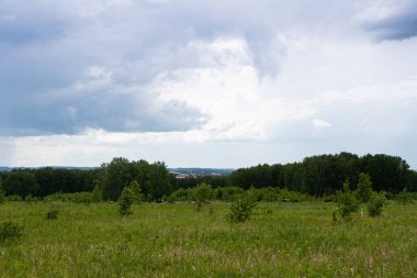 Yeşil çayır, bulutların altında orman şeridi olan çayır.