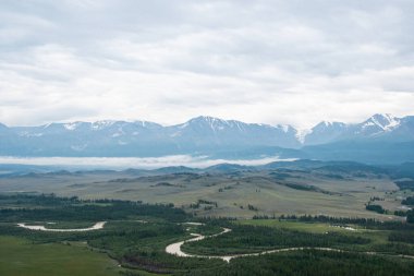 Dağ vadisinde nehir şeridi, kozalaklı ormanlar arasında kıvrılan nehir yatağı panoramik manzaralı.