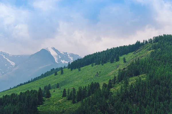Dağ vadisinde ufukta sisli bir dağ silueti. Vahşi doğada yürüyüş.