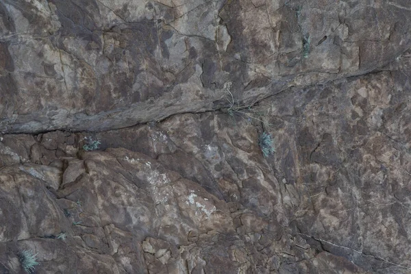 花崗岩の石垣岩面を背景に岩登りの山 — ストック写真