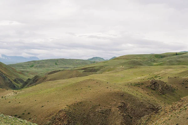 Gentle Red Hills Journey Mountain Valley Pastures Animals Soil Erosion — Stock Photo, Image