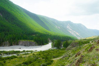 Dağ vadisinde ufukta sisli bir dağ silueti. Vahşi doğada yürüyüş.