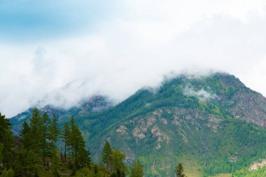 Kaya sırtı üzerinde kalın bulutlar, kötü hava ve dağlarda yağmur bekleniyor.