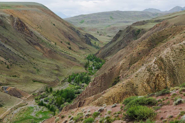 Mountain Canyon Red Soil River Valley Gorges Green Trees Soil — Stock Photo, Image