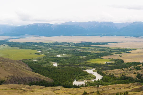 Folyószalag Hegyi Völgyben Kanyargós Folyómeder Tűlevelű Erdők Között Panorámás Kilátással — Stock Fotó