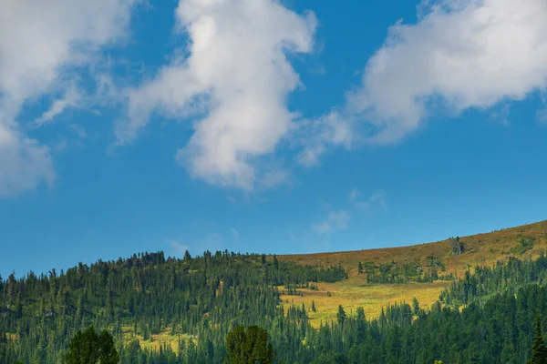 Cielo Azul Con Nubes Blancas Valle Montañoso Con Bosque Pinos — Foto de Stock