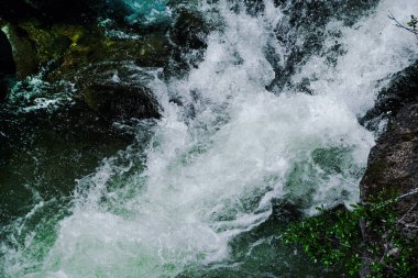 Taş yatakta dere, kayaların arasında hızlı dağ nehri, akıntıların içinde su kaynıyor.