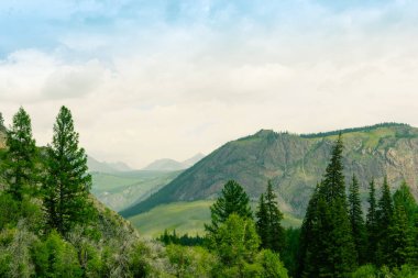 Bulutlu gökyüzünün altında ağaçları ve tepeleri olan dağ vadisi meditasyon ve yürüyüş için uygun bir yer.