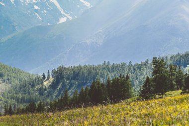 Dağ vadisinde ufukta sisli bir dağ silueti. Vahşi doğada yürüyüş.