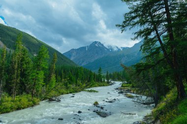 Dağ vadisindeki hızlı dere, yaz ormanlarındaki azgın nehir, dere kıyısındaki ağaçlar.