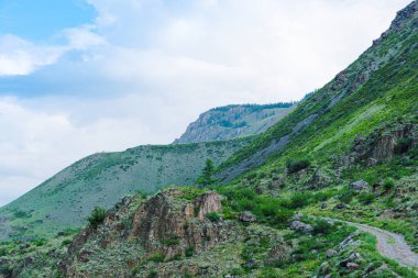 Yaz vadisi, orman ve ufukta dağ sıraları olan toprak yol.