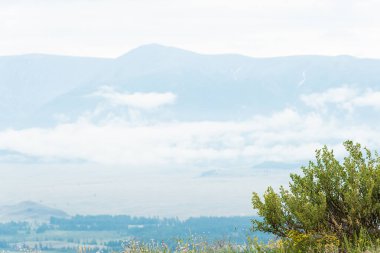 Ufuktaki kar zirveleri, dağ vadisindeki bulutlu gökyüzünün altındaki kayalıklar.