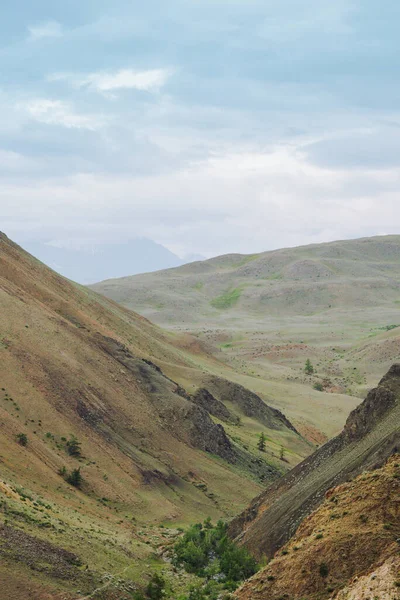 Ορεινό Φαράγγι Κόκκινο Χώμα Κοιλάδα Του Ποταμού Φαράγγια Και Πράσινα — Φωτογραφία Αρχείου