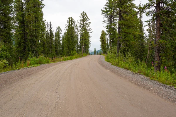 Dirt Forest Road Sunny Summer Day Road Trip Nature Royalty Free Stock Images