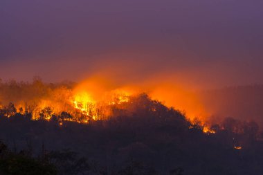 Orman yangını: Ubon Ratchathani, Tayland