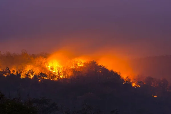 Wildfire Ubon Ratchathani Thailand – stockfoto