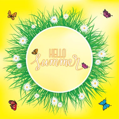 Merhaba yaz, çimen çiçekler ile yukarıda uçan kelebek, Bahar, yaz arka plan