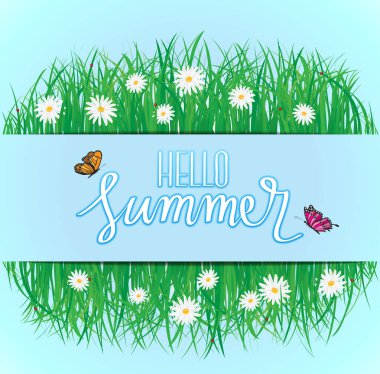 Merhaba yaz, çimen çiçekler ile yukarıda uçan kelebek, Bahar, yaz arka plan